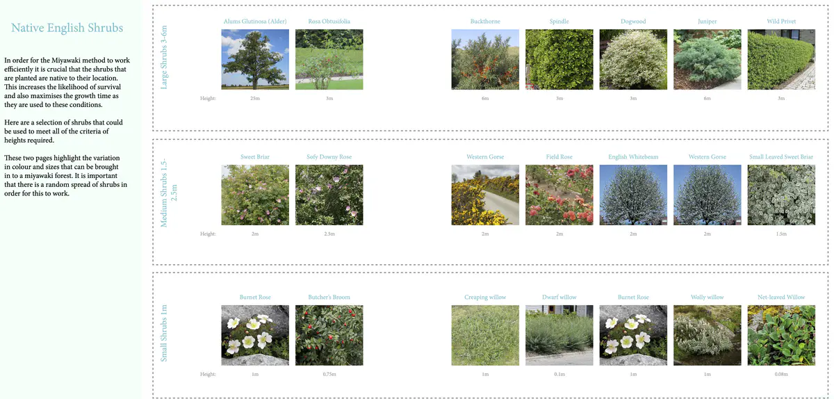 Water Collection
With this information I can begin to map out 1038m2 of miyawaki forests.
It is crucial that the forests do not use more water than stored as then the project isn’t zero carbon as it would require fresh water. It is important that the water collected is sufficient for this project to work. This data also provides the information to how much storage is required on the site. - Ryan Cooksey Miyawaki 3.png